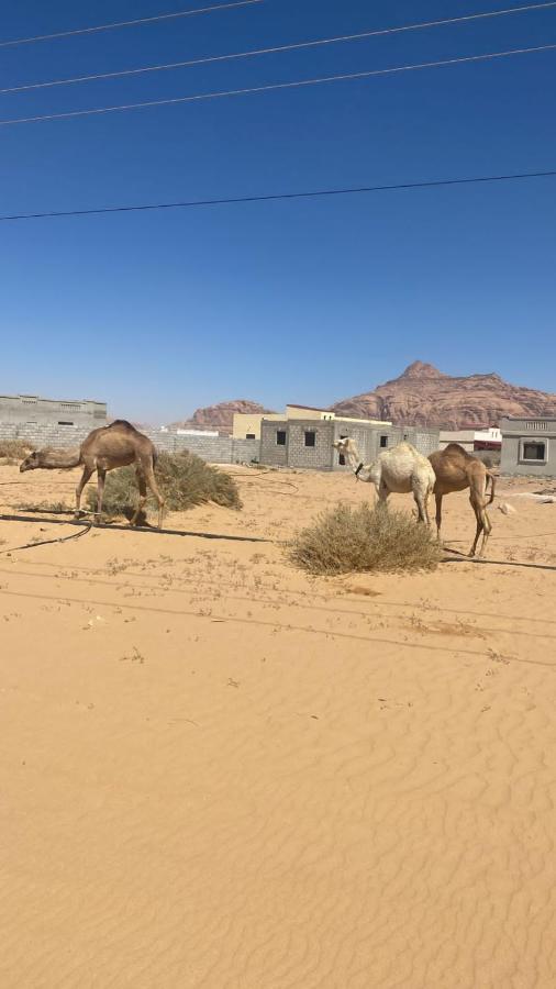 Wadi Rum Albasli Exterior photo