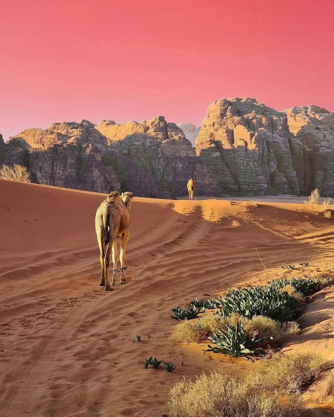 Wadi Rum Albasli Exterior photo